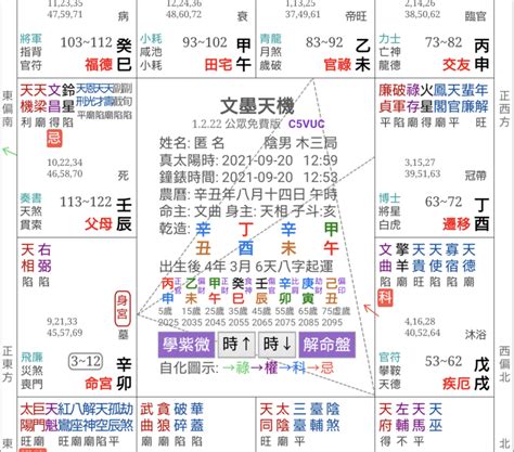 紫微斗数 2024|紫微斗数で占う2024年の運勢【突然ですが占っても。